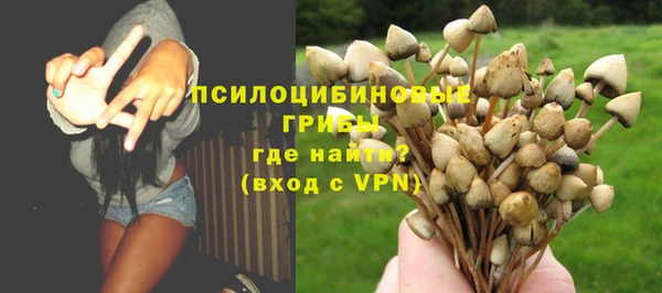 мет Пестово
