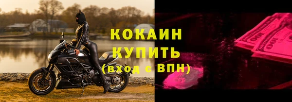 Альфа ПВП Пересвет