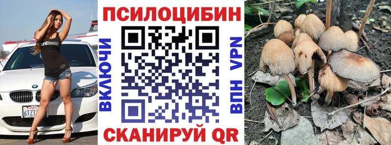 продажа наркотиков  Малаховка  Псилоцибиновые грибы Cubensis 